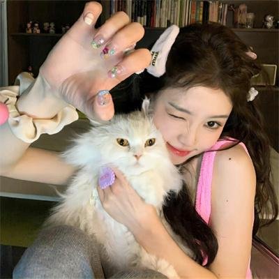 鱼与猫